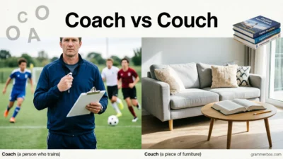 Coach vs Couch