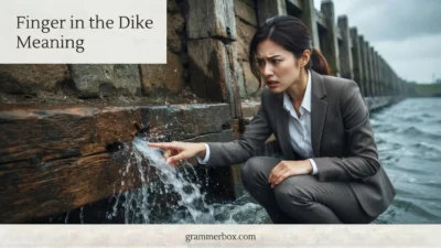 Finger in the Dike Meaning