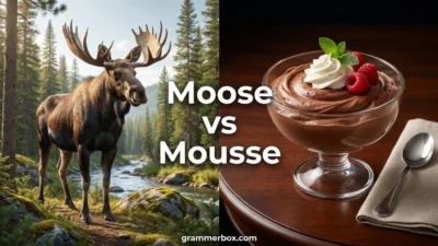 Moose vs Mousse