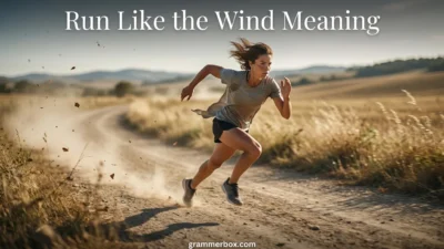 Run Like the Wind Meaning
