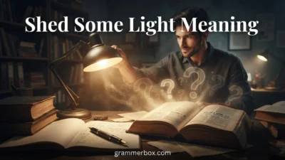 Shed Some Light Meaning