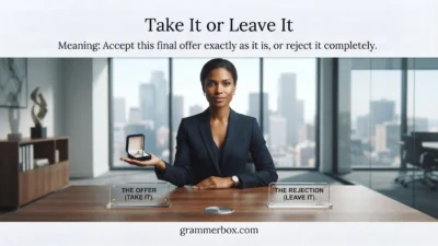 Take It or Leave It