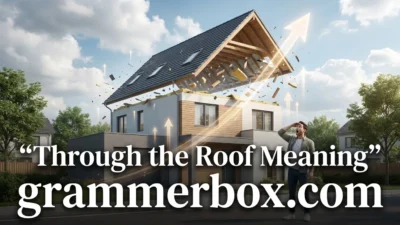 Through the Roof Meaning