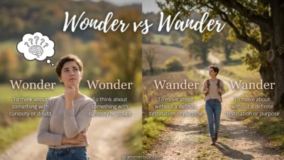 Wonder vs Wander