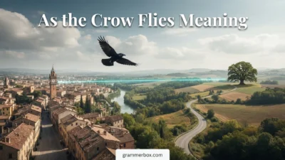 As the Crow Flies Meaning