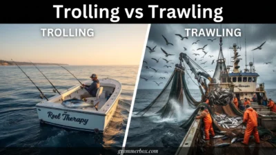 Trolling vs Trawling